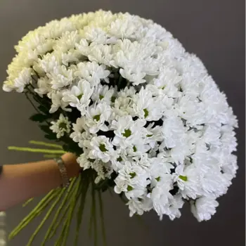 Монобукеты