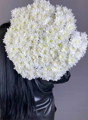 Монобукет из белой кустовой хризантемы &laquo;Прованс&raquo; от интернет-магазина цветов в 